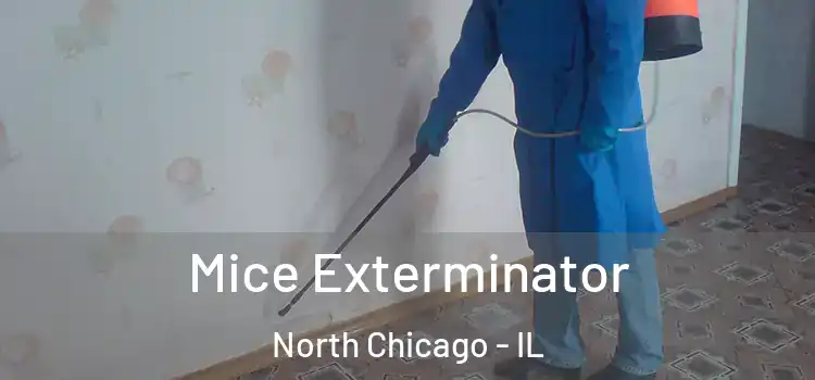 Mice Exterminator North Chicago - IL