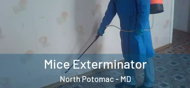 Mice Exterminator North Potomac - MD