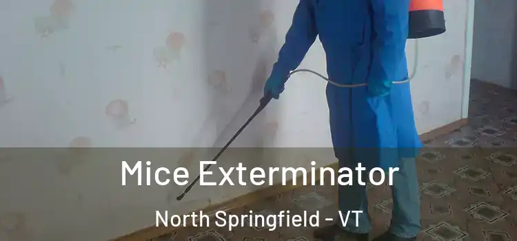 Mice Exterminator North Springfield - VT