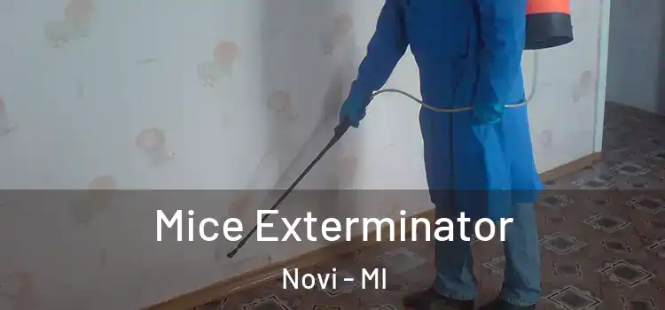 Mice Exterminator Novi - MI