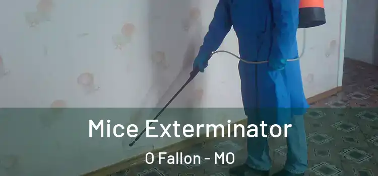  Mice Exterminator O Fallon - MO