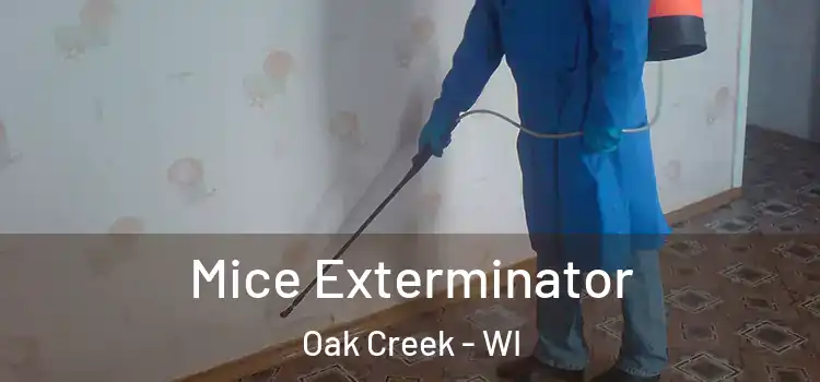  Mice Exterminator Oak Creek - WI