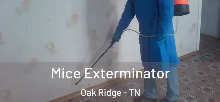 Mice Exterminator Oak Ridge - TN