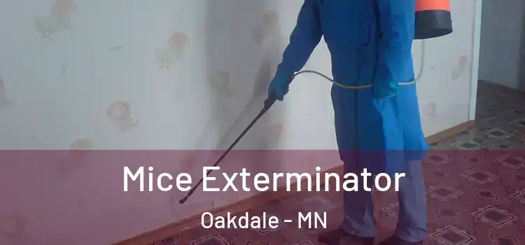  Mice Exterminator Oakdale - MN