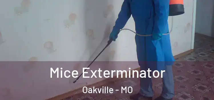  Mice Exterminator Oakville - MO