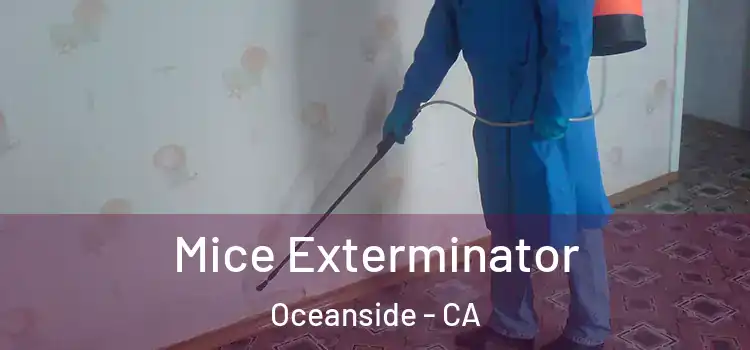  Mice Exterminator Oceanside - CA