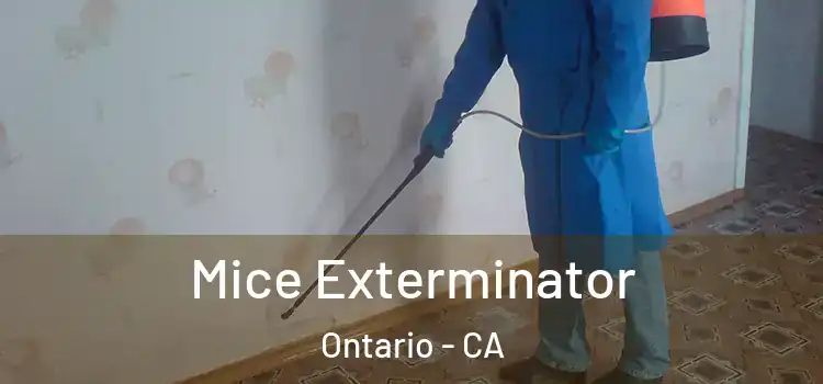  Mice Exterminator Ontario - CA