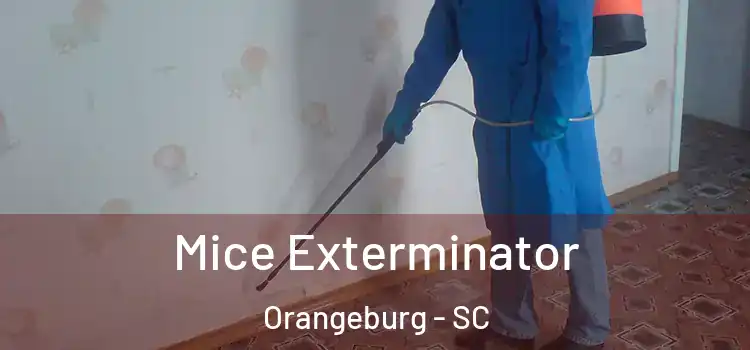 Mice Exterminator Orangeburg - SC