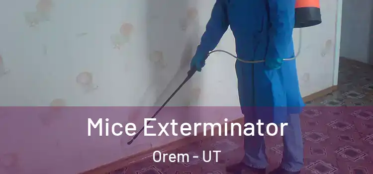  Mice Exterminator Orem - UT