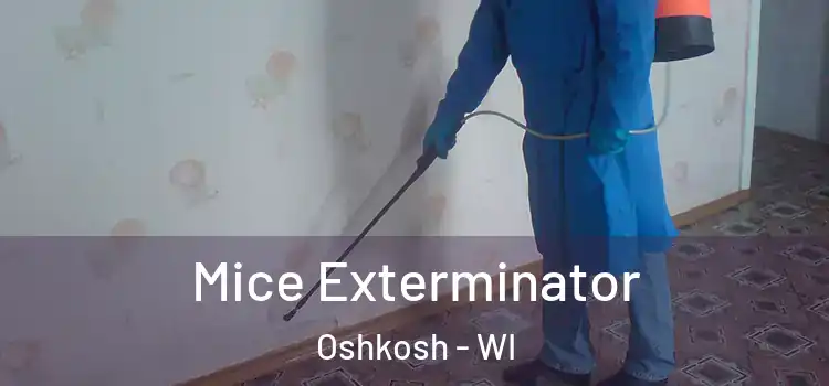  Mice Exterminator Oshkosh - WI