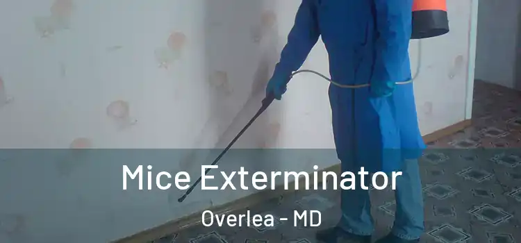 Mice Exterminator Overlea - MD