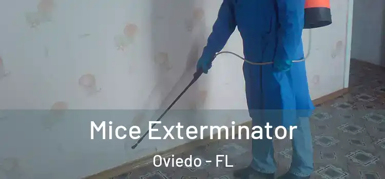  Mice Exterminator Oviedo - FL