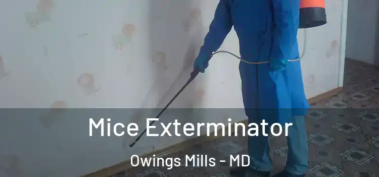 Mice Exterminator Owings Mills - MD