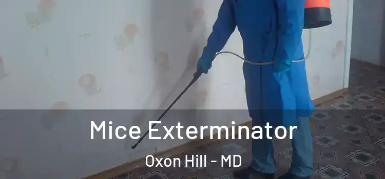  Mice Exterminator Oxon Hill - MD