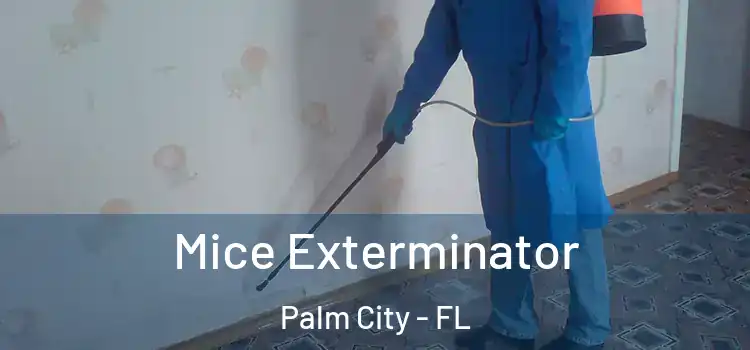  Mice Exterminator Palm City - FL