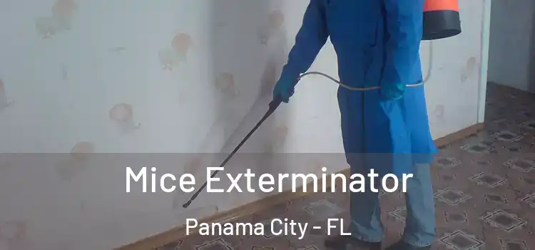 Mice Exterminator Panama City - FL