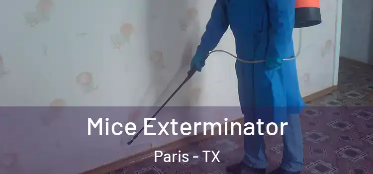  Mice Exterminator Paris - TX