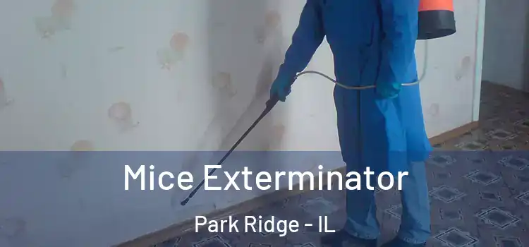 Mice Exterminator Park Ridge - IL