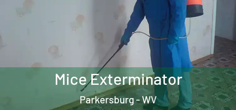  Mice Exterminator Parkersburg - WV