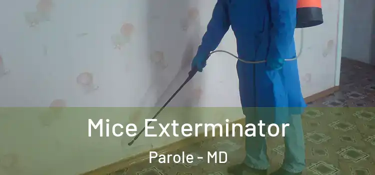 Mice Exterminator Parole - MD