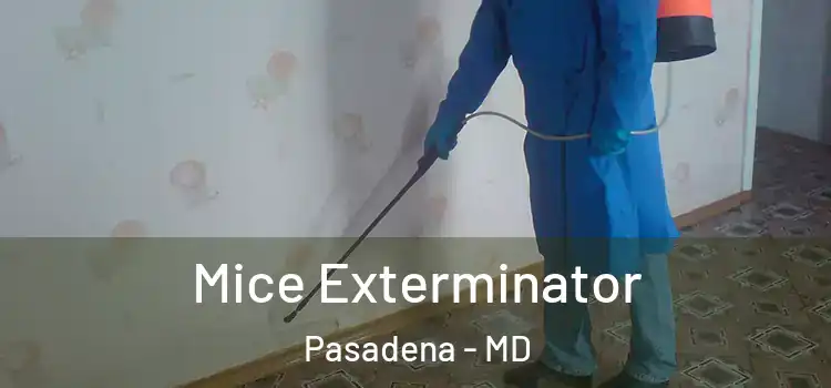  Mice Exterminator Pasadena - MD