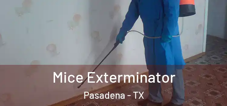  Mice Exterminator Pasadena - TX