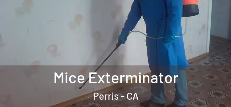  Mice Exterminator Perris - CA
