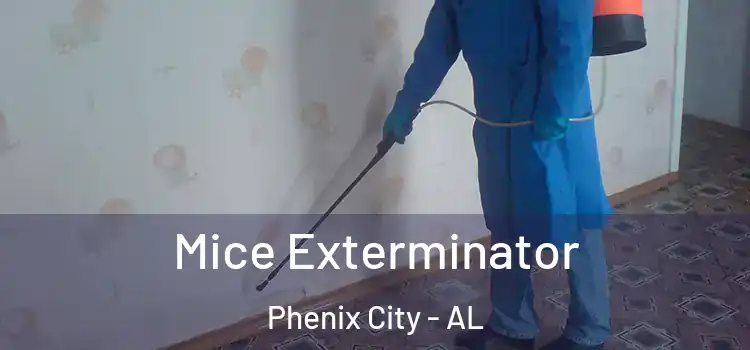 Mice Exterminator Phenix City - AL