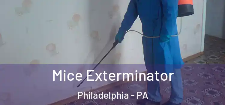  Mice Exterminator Philadelphia - PA