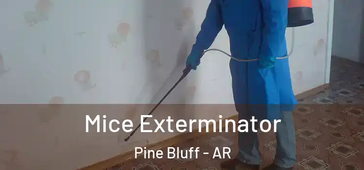  Mice Exterminator Pine Bluff - AR