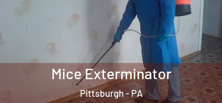  Mice Exterminator Pittsburgh - PA