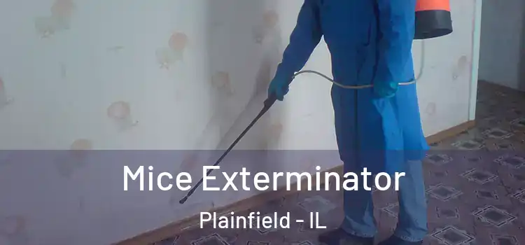 Mice Exterminator Plainfield - IL