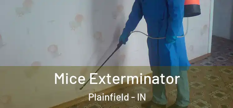 Mice Exterminator Plainfield - IN