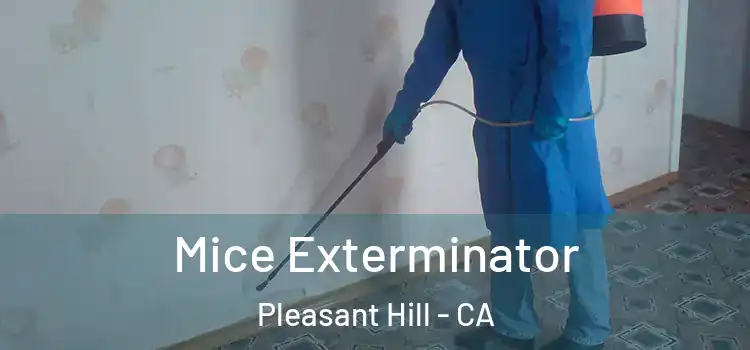  Mice Exterminator Pleasant Hill - CA