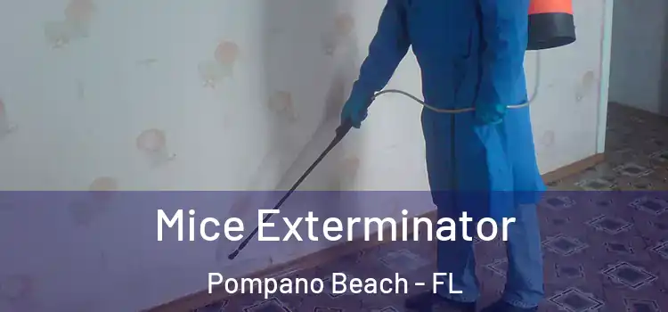Mice Exterminator Pompano Beach - FL