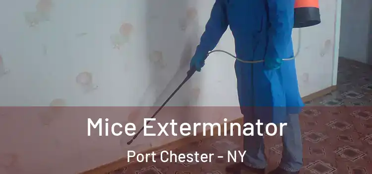 Mice Exterminator Port Chester - NY