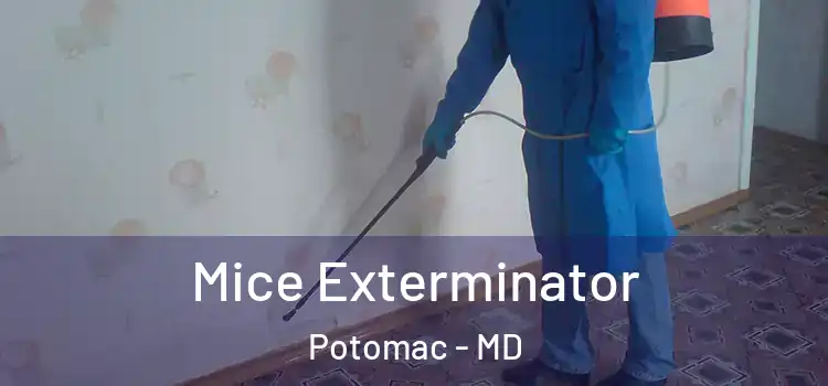  Mice Exterminator Potomac - MD