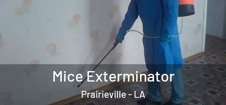  Mice Exterminator Prairieville - LA