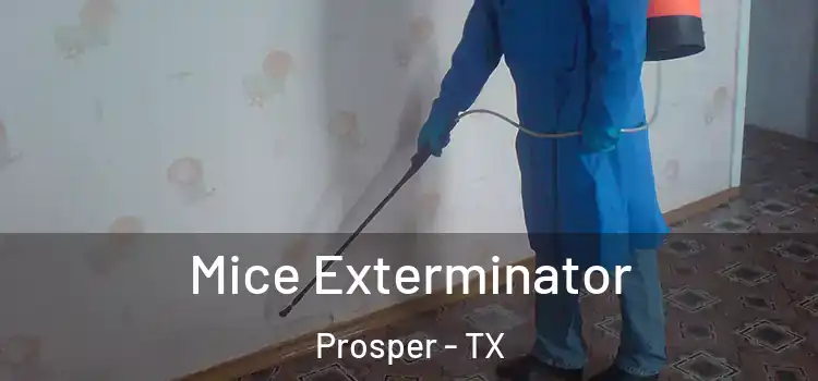 Mice Exterminator Prosper - TX
