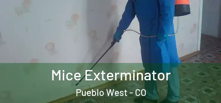  Mice Exterminator Pueblo West - CO