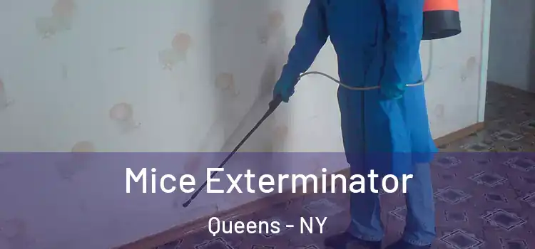  Mice Exterminator Queens - NY