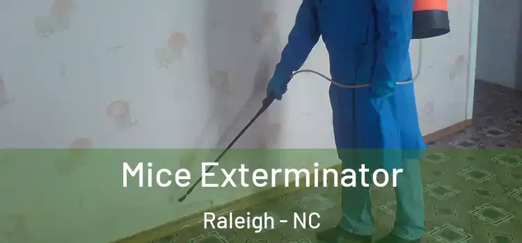 Mice Exterminator Raleigh - NC