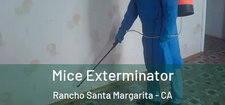  Mice Exterminator Rancho Santa Margarita - CA