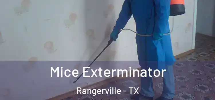 Mice Exterminator Rangerville - TX