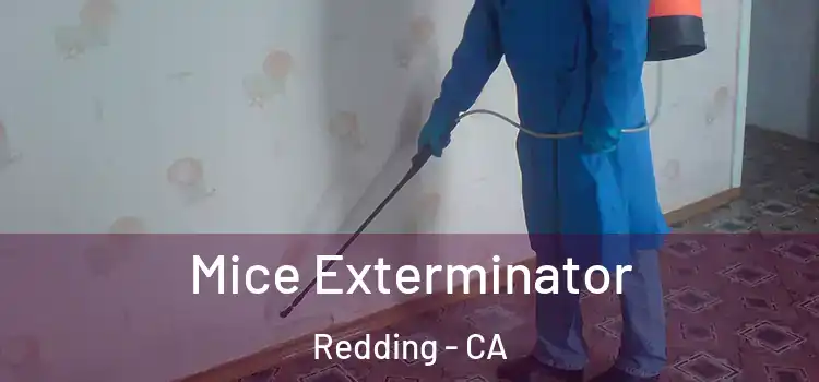  Mice Exterminator Redding - CA