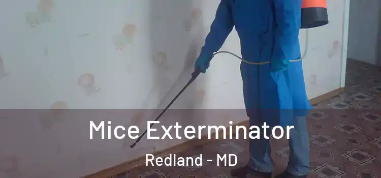  Mice Exterminator Redland - MD