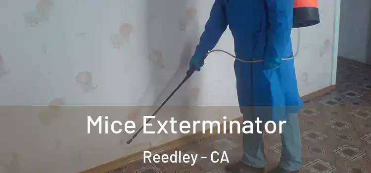  Mice Exterminator Reedley - CA