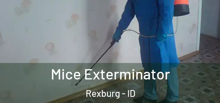  Mice Exterminator Rexburg - ID