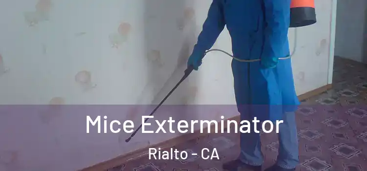  Mice Exterminator Rialto - CA