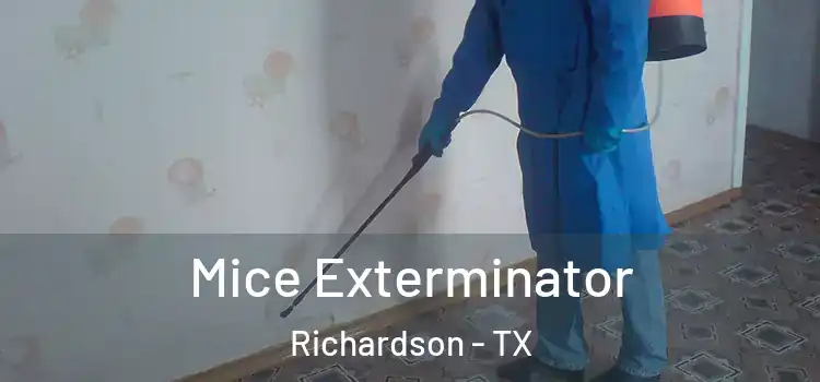 Mice Exterminator Richardson - TX